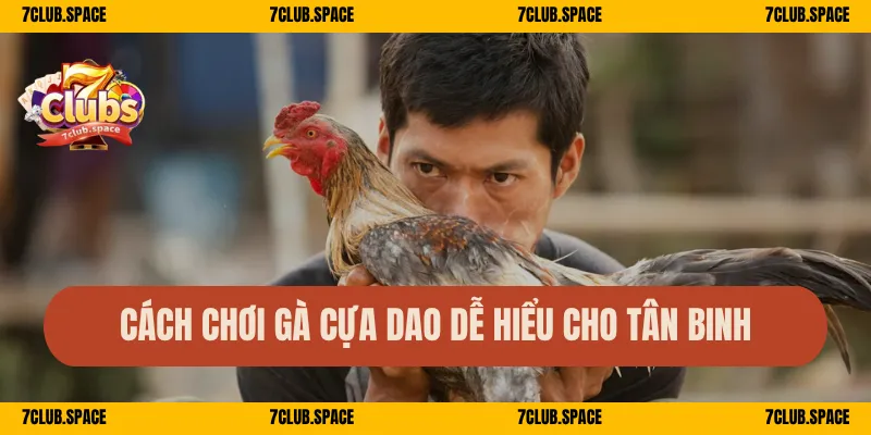 Đá Gà Cựa Dao 7Club – Đấu Gà Máu Lửa, Sát Phạt Cực Mãn Nhãn 2 Cách chơi gà cựa dao dễ hiểu cho tân binh
