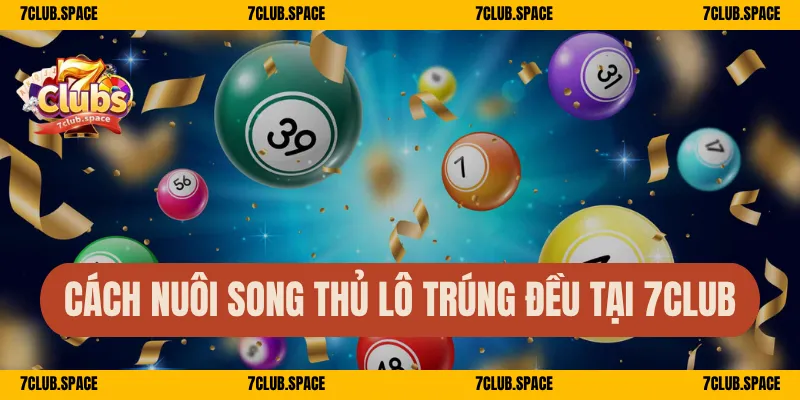 Song Thủ Lô 7Club – Bí Kíp Đánh Chuẩn, Trúng Là Nhận Lớn 3 Cách nuôi song thủ lô trúng đều tại 7Club