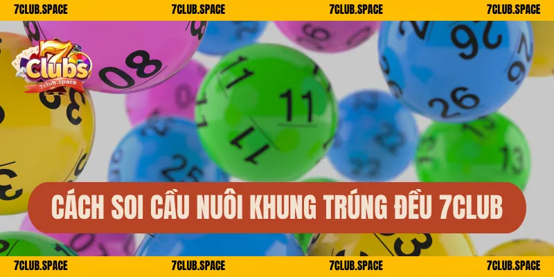 Nuôi Lô Khung 7Club – Bắt Lô Theo Ngày, Vào Bờ Cực Nhanh 3 Cách soi cầu nuôi khung trúng đều 7Club
