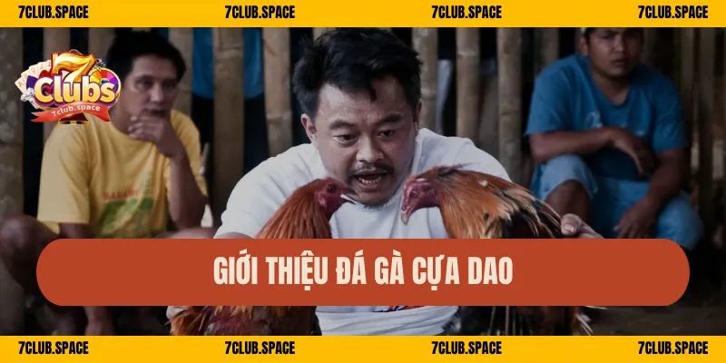 Đá Gà Cựa Dao 7Club – Đấu Gà Máu Lửa, Sát Phạt Cực Mãn Nhãn 1 Giới thiệu đá gà cựa dao