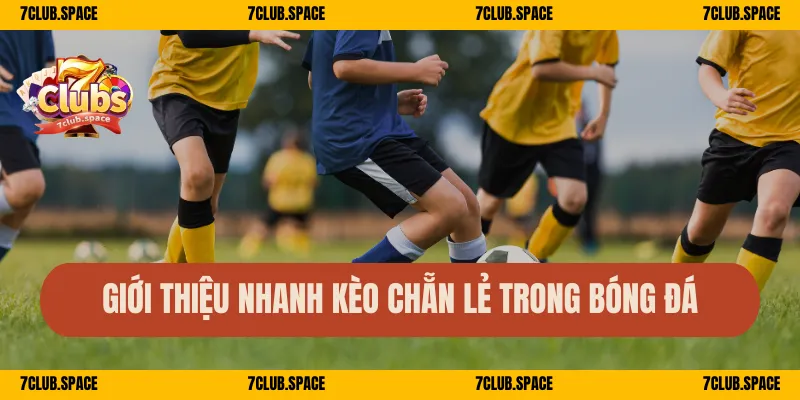 Giới thiệu nhanh kèo chẵn lẻ trong bóng đá