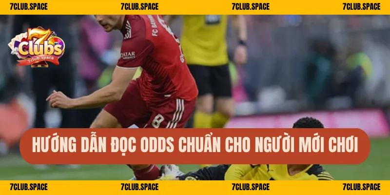 Hướng dẫn đọc Odds chuẩn cho người mới chơi