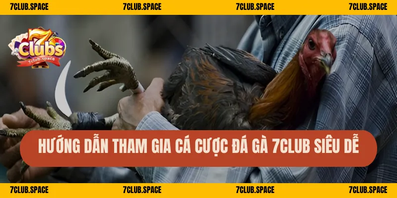 Hướng dẫn tham gia cá cược đá gà 7club siêu dễ