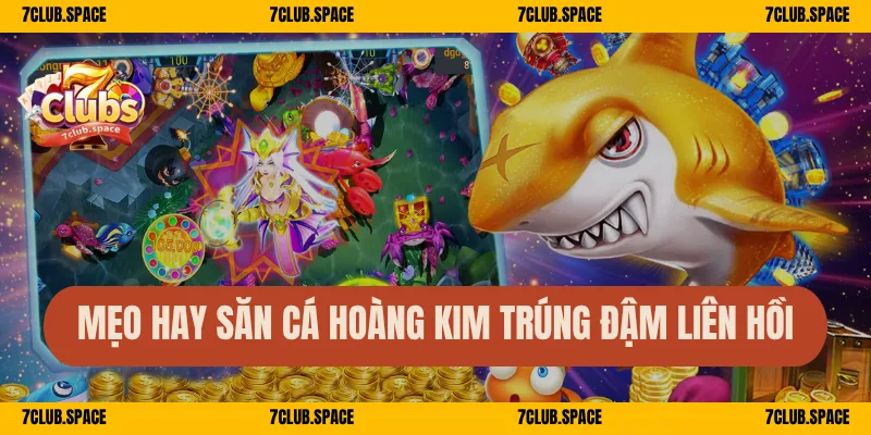 Mẹo hay săn cá Hoàng Kim trúng đậm liên hồi