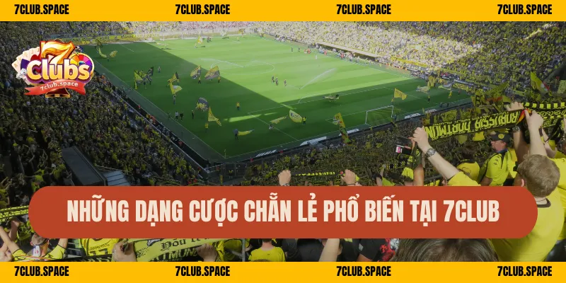Những dạng cược chẵn lẻ phổ biến tại 7Club